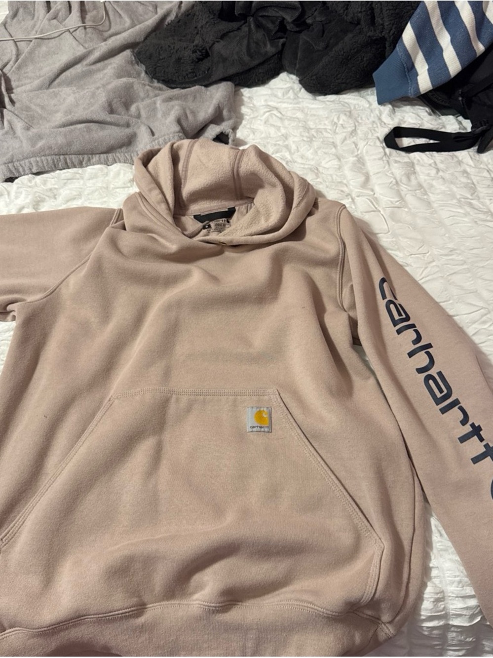 Carhartt Men’s Pullover Hoodie in Dusty Pink